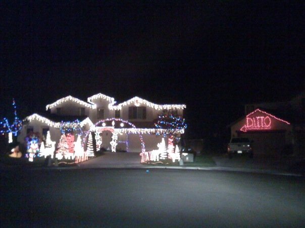 funny photos pictures pics comedy humor ditto christmas lights