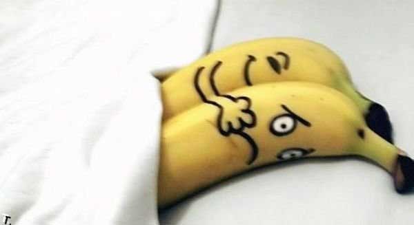 funny picture of bananas comedy photograph of two fruits funny fruit fotos