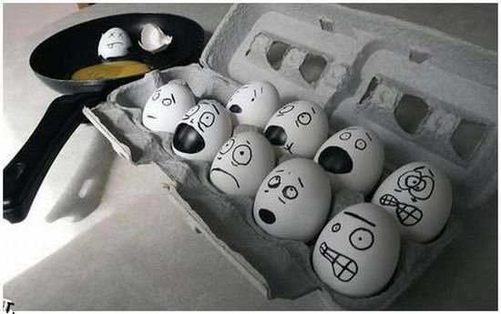 photo of frightened eggs hilarious pics funny fotos
