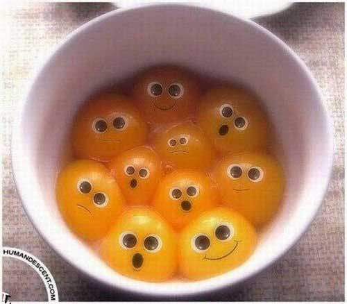 picture of happy egg yolks funny photos images pics