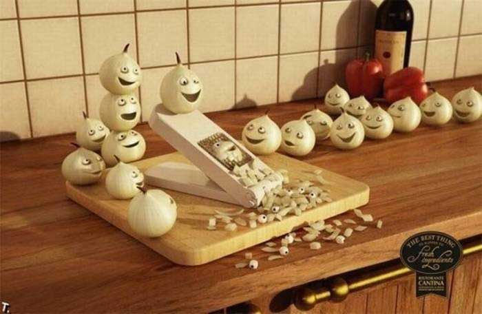 funny pic of onions sliding on grater comedy photos