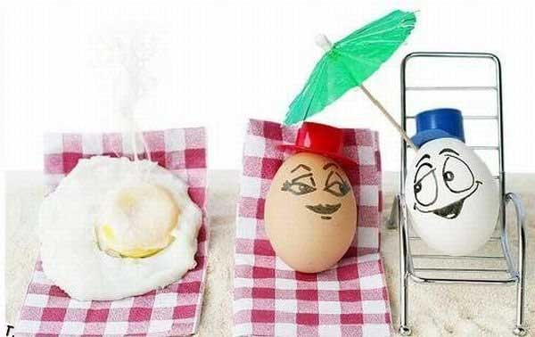 eggs on the beach funny pic photo eggs on beach in sun fried egg picture